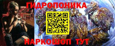 a pvp Бугуруслан